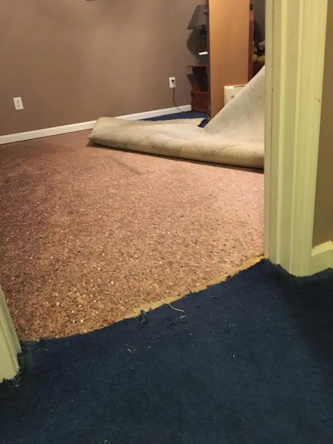 Carpet pad removal revealing water damage during Drying & Dehumidification in New Canaan