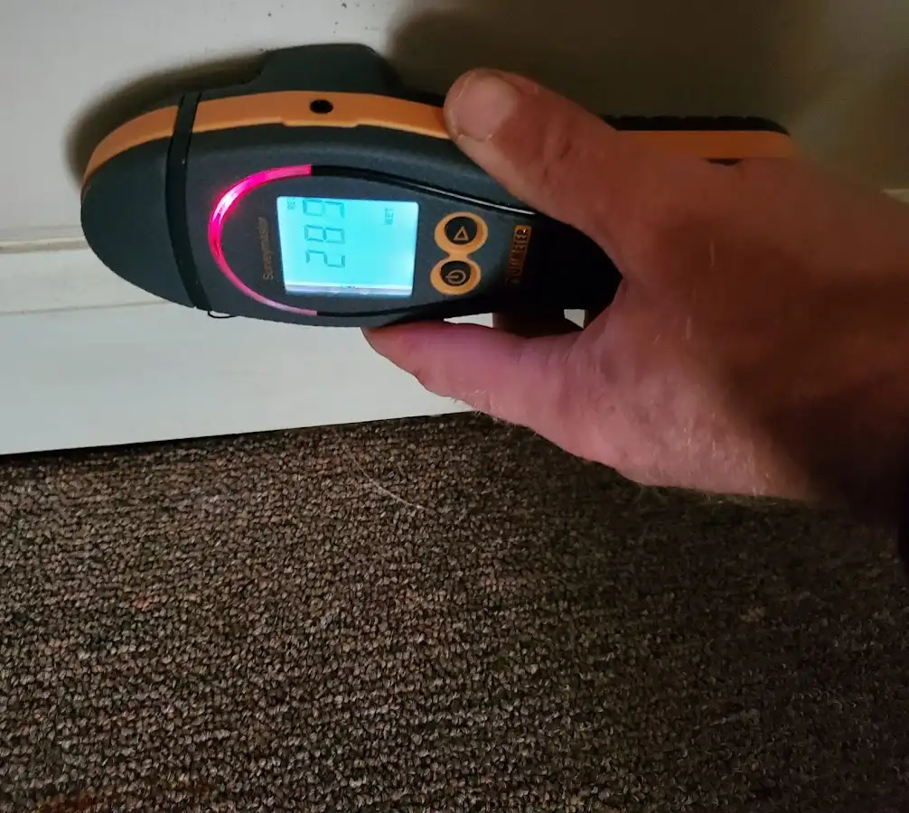 Moisture detection at baseboard during Sewage Cleanup & Sanitation in New Canaan